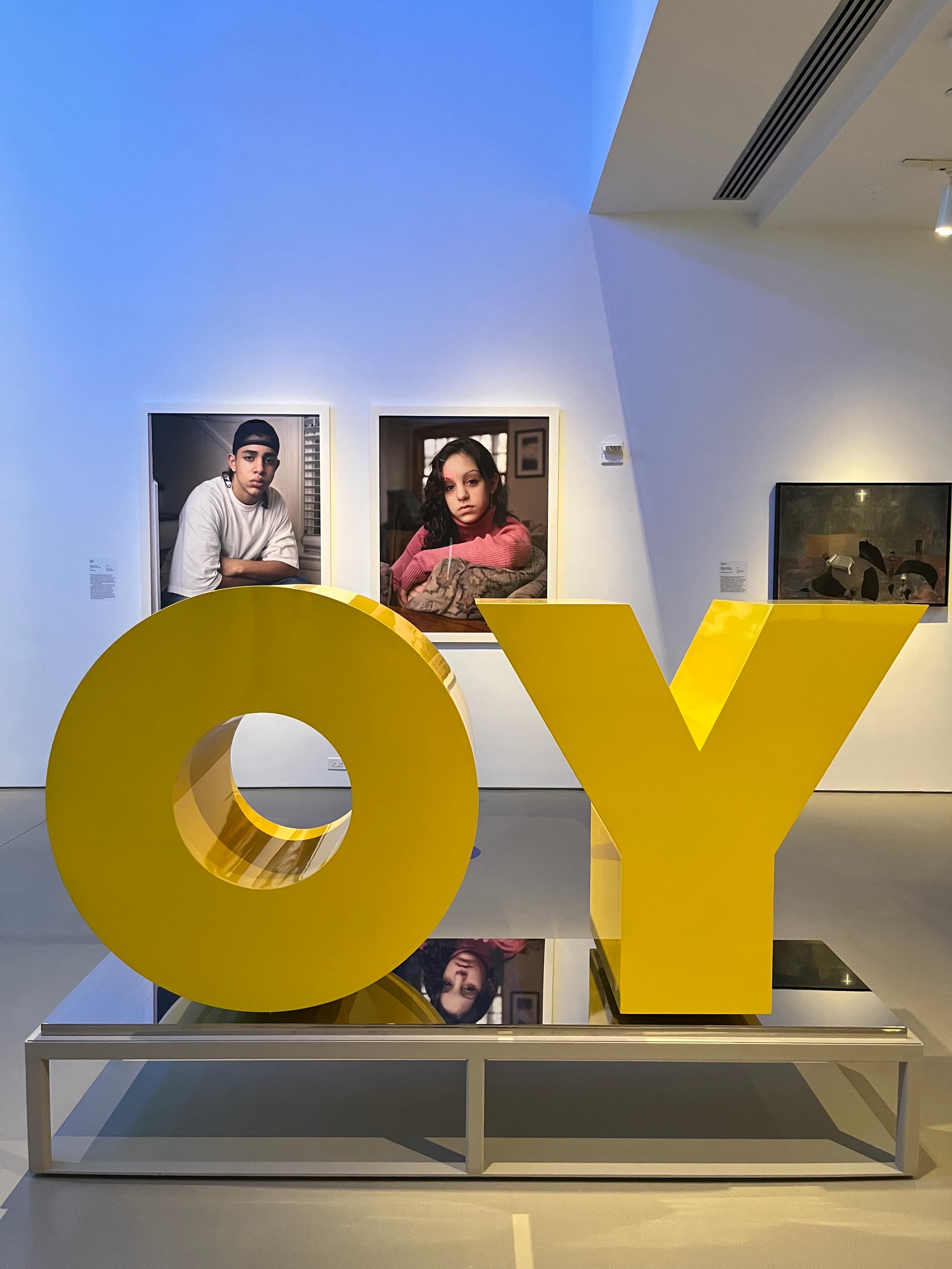 JOY INSTALLATION